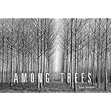 among trees