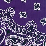 Carolina Have, A, Hank Paisley Bandannas, 22-Inch by 22-Inch, Purple