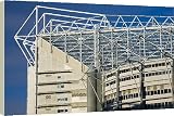 Box Canvas Print of England, Tyne and Wear, Newcastle Upon Tyne. St Jamess Park, home to... from Jason Friend