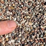 Mini Pebble, Mexican Red, 1 lb.