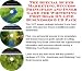The Special Super Marketing, Success Principles and Inner Game for Whitening Foot Soak On-line Businesses 3 CD Pack