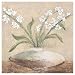 Eurographics AF1506 Antonio Feralli, White Flowers in Brown 18 x 18 cm, Hochwertiger Kunstdruck 61aVHfuHegL. SL75 Bestway Schulrucksack Brown Flower Rucksack Schulranzen