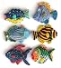 Set of 6 Magnets Tropical Fish Beach Nautical Kitchen