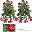 TWO 26" Artificial Geranium Hanging Flower Bushes