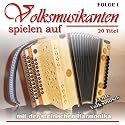 Volksmusikanten spielen auf mit der Steirischen Harmonika - Echte Volksmusik - Instrumental - Folge 1