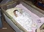 Graco Pack 'N Play Playard with Bassinet