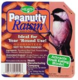 Heath Outdoor Products DD-12 Peanutty Raisin Suet