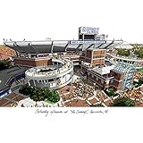 UPC 840710009296 product image for University of Florida, The Swamp Lithograph | upcitemdb.com