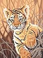 Dimensions Needlecrafts Paintworks Paint By Number, Tiger Cub