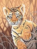 Dimensions Needlecrafts Paintworks Paint By Number, Tiger Cub