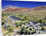 Canvas Prints of Red Rock Canyon from Danita Delimont Canvas Prints of Red Rock Canyon from Danita Delimont