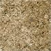 Natural Stone 12" x 12" Granite Tile in Giallo Veneziano