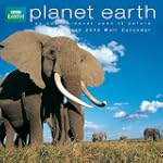 Planet Earth  2013 Wall Calendar