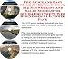 Book The Quick and Easy Make An Extra Income, Biz Networking and Sales Models for SCUBA Equipment Web Businesses 3 CD Power Pack