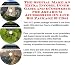 The Special Make An Extra Income, Inner Game and eCommerce for Aquarium Accessories On-line Biz Package (3 CDs)