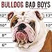 Bulldog Bad Boys 2016 Calendar