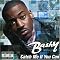 Bashy Foto 1