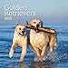 Avalanche January to December, 12 x 24 Inches, Perfect Timing Golden Retrievers 2015 Wall Calendar (7001615)