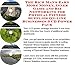 The Rich Man's Earn More Money, Inner Game and Biz Networking for Physical Fitness Supplies On-line Businesses 3 CD Power Pack