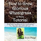 how to grow glorious wheatgrass at home tutorial with salty sea mineral eco fertilization for superior mineral