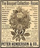 1889 Ad Peter Henderson Roses Flowers Gardening Plants - Original Print Ad