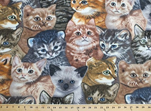 Kittens Cats Cute Animal Fleece Fabric Print by the yard a31772b