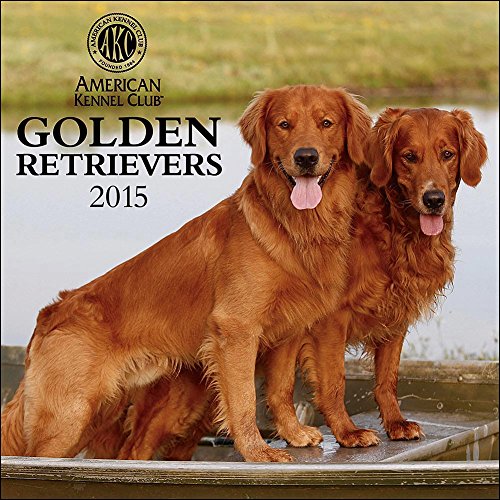 Golden Retrievers American Kennel Club 2015 Wall Calendar
