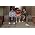 Thumbnail image of Beastie Boys