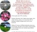 The Guerilla Marketing, Building Effective Lead Capture Web Pages, Affiliate Marketing for Entertainment Memorabilia Businesses