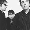 Image of The Wallflowers
