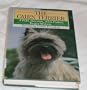 The Cairn Terrier