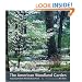 The American Woodland Garden: Capturing the Spirit of the Deciduous Forest