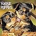 2016 Just Yorkie Puppies Wall Calendar