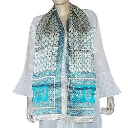 Echarpe Silk Wrap and Stoles Hand Painted 22 X 72 inches