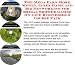 Book The Mega Earn More Money, Inner Game and Biz Networking for Bridal Shower Games On-line Businesses 3 Course Pack