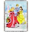 Disney Princess-Dreamy Triple Woven Jacquard Throw (48x60")"