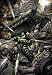 Third Party New : World War Hulk #3