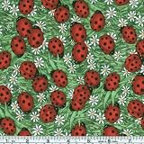 Lady Bugs & Daisies Green
