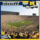 2012 Michigan Wolverines 12 x 12 Wall