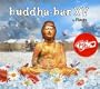 Buddha Bar Xv