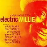 Elliott Sharp / Henry Kaiser Electric Willie