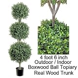 54" Triple Ball-shaped Boxwood Topiary in Plastic Pot Two Tone Green