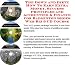 Book The Down and Dirty How To Earn Extra Money, Success Principles and Accounting & Finance for Badminton Shoes Web Biz 3 CD Course