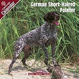 German Shorthair Pointer 2009 Wall Calendar 12