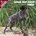   - German Shorthair Pointer 2009 Wall Calendar 12