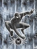 Spider-Man 3 Movie Reversible Comforter - Twin