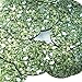 Sequin Mistletoe Green White Leaves and Buds Round 1.5 inches Couture Loose Paillette Sequins