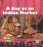 A Day at an Indian Market (Big Picture: Food)