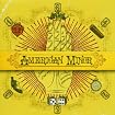 American Minor
