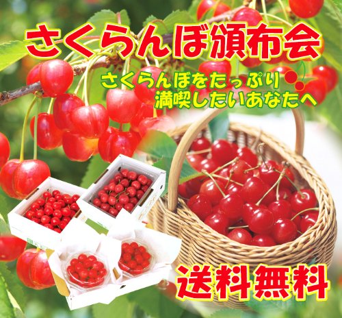 【5月上旬から7月上旬にかけて発送します】さくらんぼ頒布会3ケ月コース